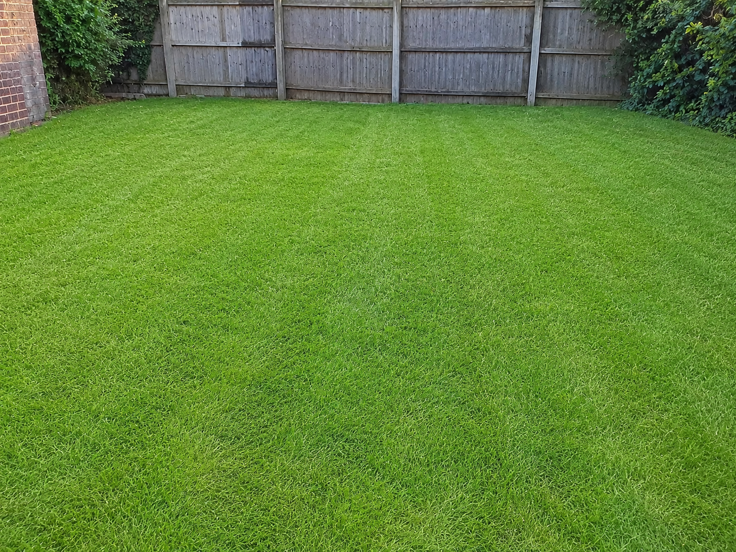 Freshly cut pristine lawn after garden maintenance