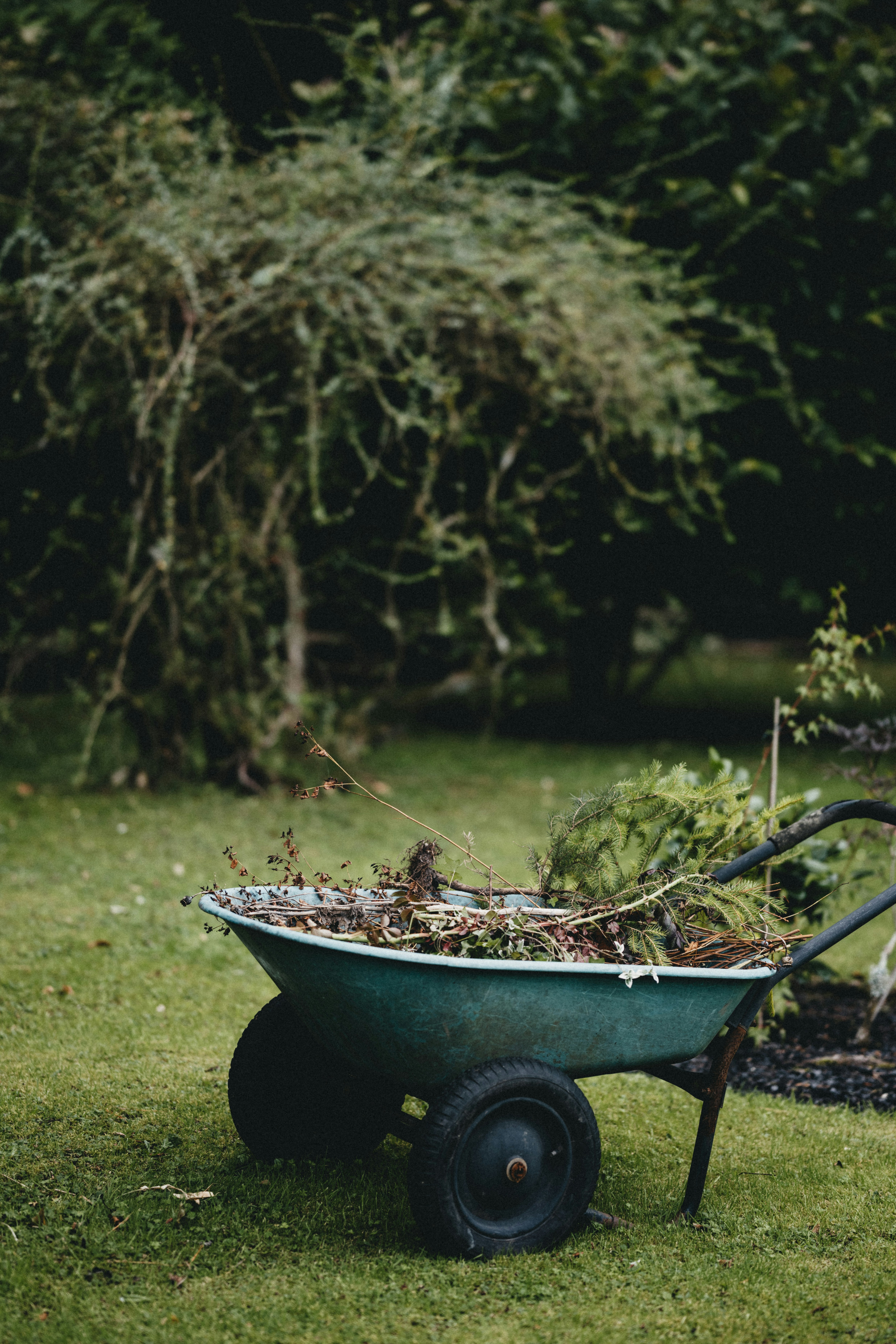 Garden clearance service in Ashford