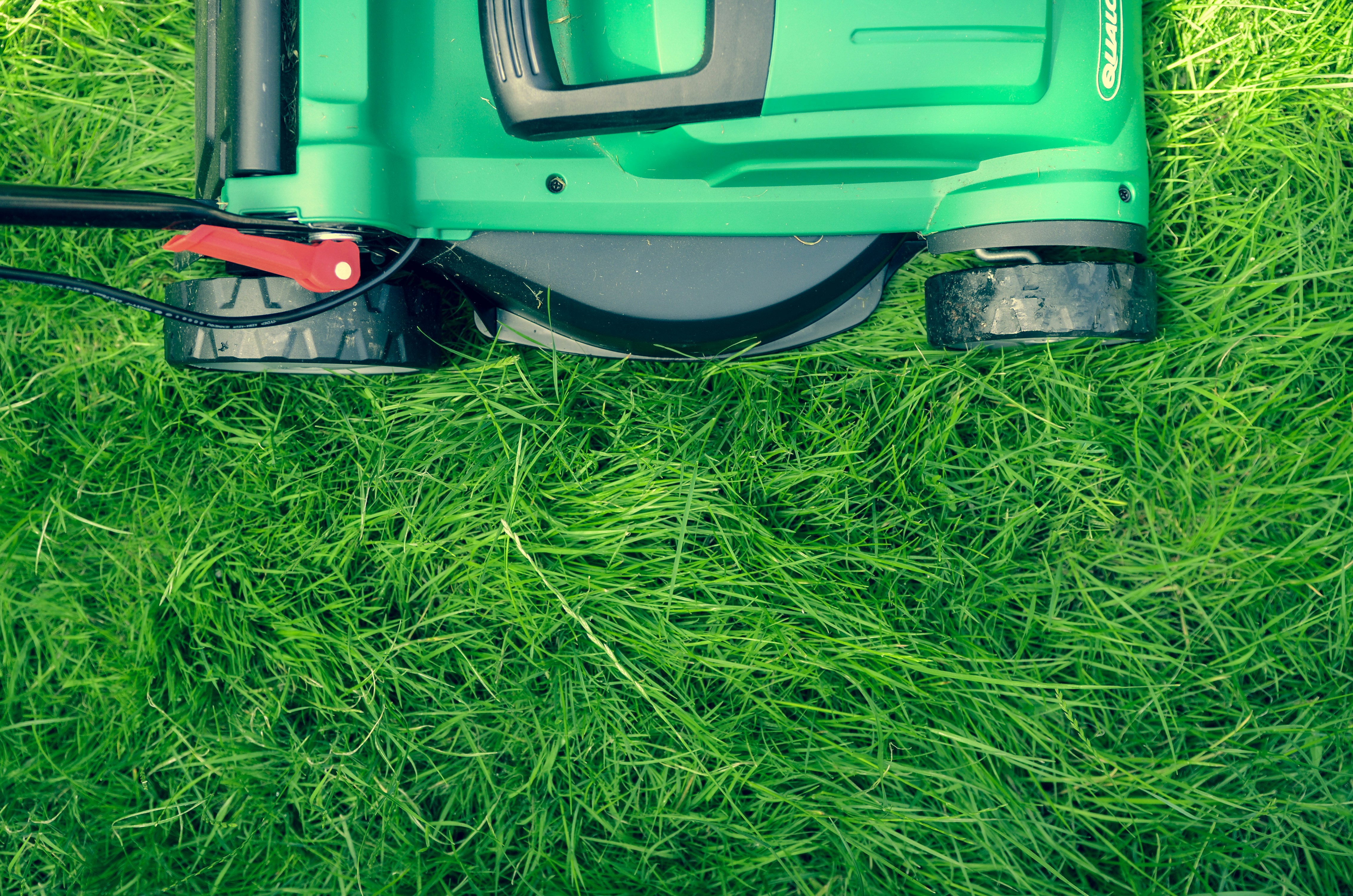 Professional lawn mowing in Ashford